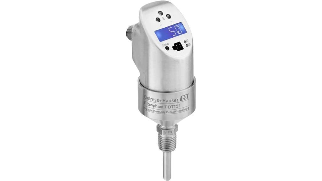E+H Flowphant T DTT31 Flow Switch