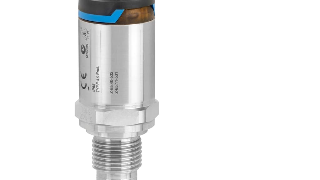 E+H Liquiphant FTL31 Level Switch
