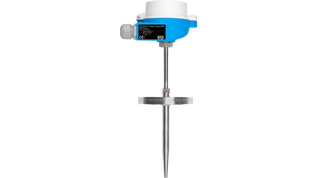 E+H Omnigrad M TR15 RTD Thermometer