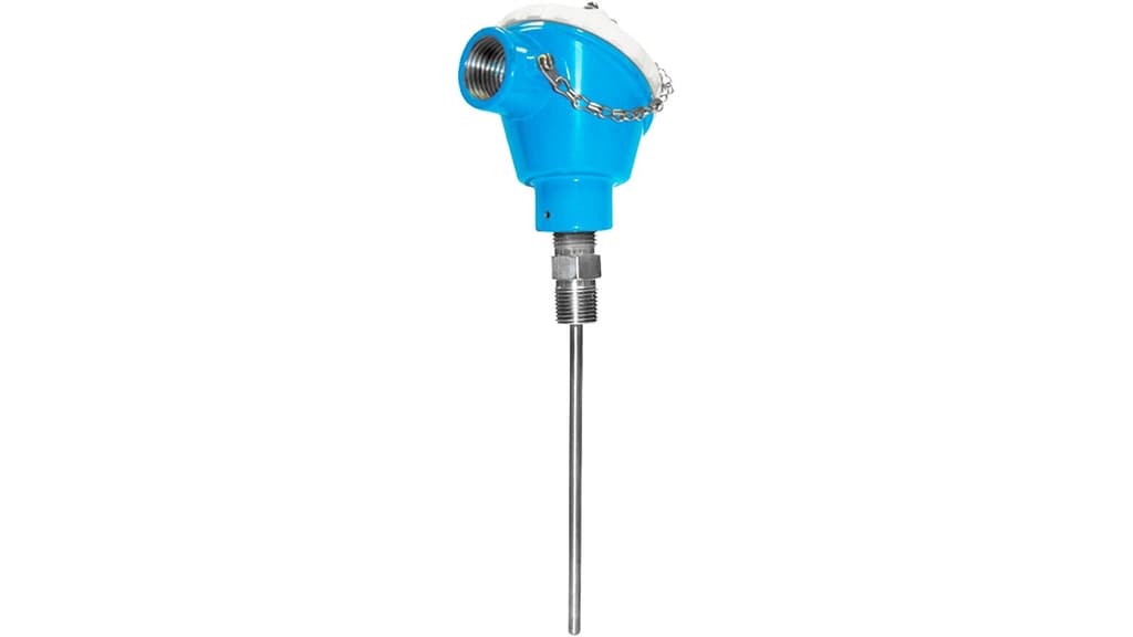E+H TH15 RTD Thermometer