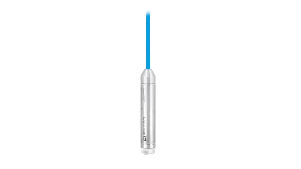 E+H Waterpilot FMX11 Transmitter
